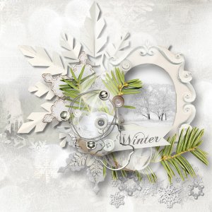 Winter dreams.jpg