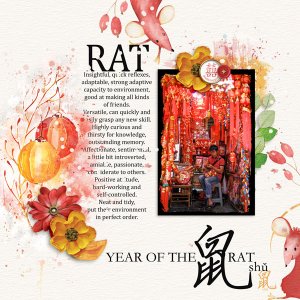 Year of the Rat
