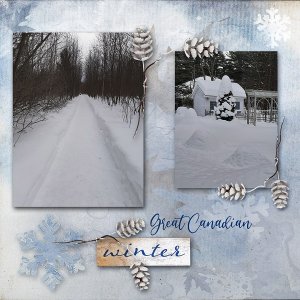 February 2020 Bonus Challenge.jpg