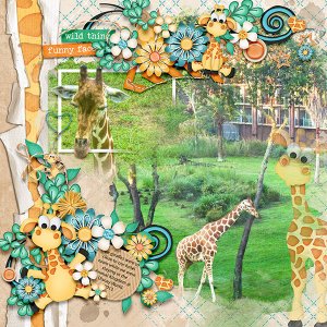 Giraffes R US