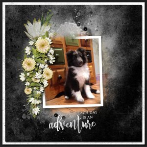 Anytime by Simplette