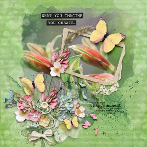 What You Imagine You Create