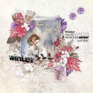 Winter.jpg