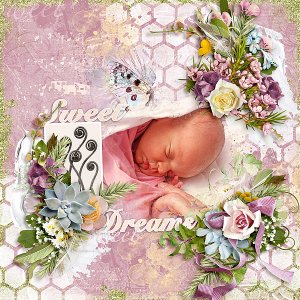 Sweet Dreams