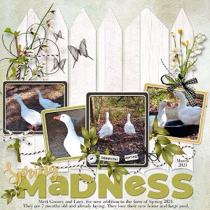 Spring Madness
