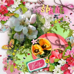 Spring.jpg
