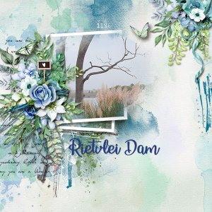 Rietvlei-Dam.jpg