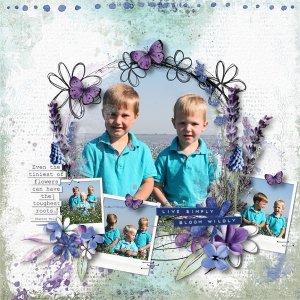 Lavendar