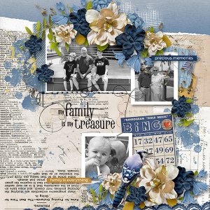 Family is Priceless
