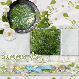 summer day.jpg