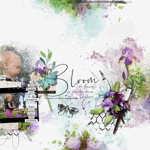 Sweet Pea - Rochelle.jpg