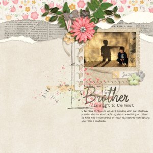 A brother is a gift to the heart