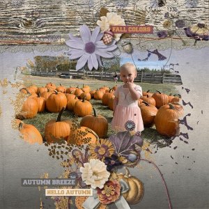 Pumpkins