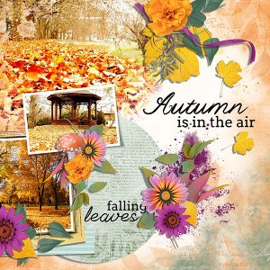 autumn is in the air
