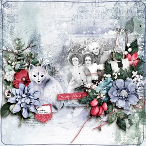 Family Memories