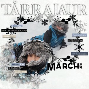 Tårrajaur