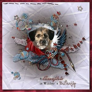 In a winterdream 2