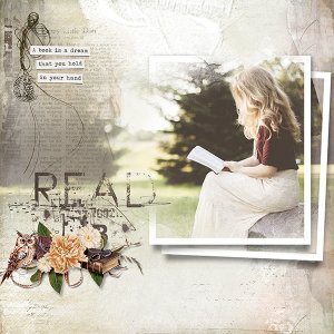 tiramisu_book lover1.jpg