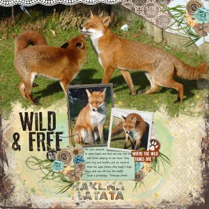 Foxes Week#1 Showstopper challenge