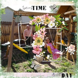 Birthday-swing.jpg