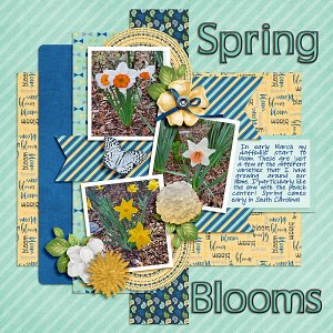 Spring Blooms