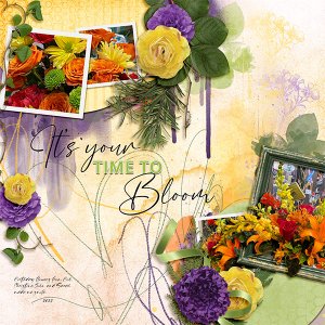 Time To Bloom