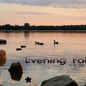Ducks at Sunset