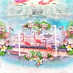 Flamingo Summer