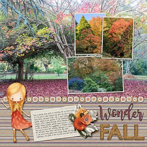 Wonder Fall