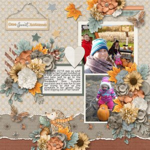 A cold autumn day