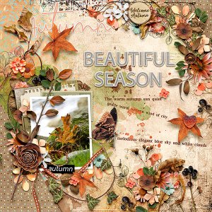 Beautiful Season
