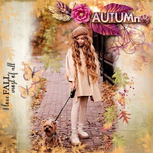 Beautiful Autumn