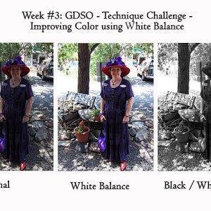 Wk #3 - Improving Color - 3 Full length Photos copy.jpg