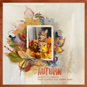 early-autumn.jpg