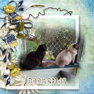 Week #4: GDSO-Technique Challenge – Out of Bounds/Masking Challenge