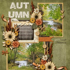 Fall Days