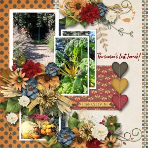 Moments of November