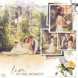 Life stories templates