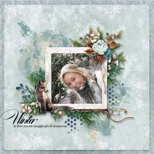 captured-snowflake.jpg