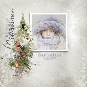 Christmas spirit
