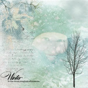 ACapturedSnowflake_01 kopiëren.jpg