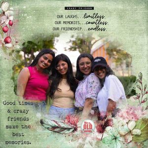 crazy-friends-chunlin.jpg