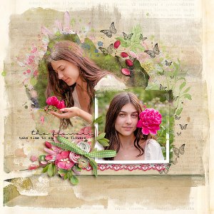 the flowers