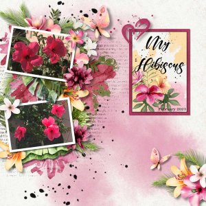 02 Hibiscus PBP.jpg