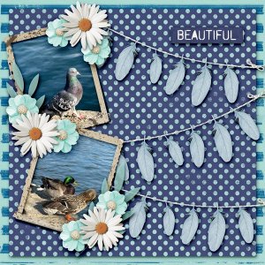 Beautiful Feathered Friends