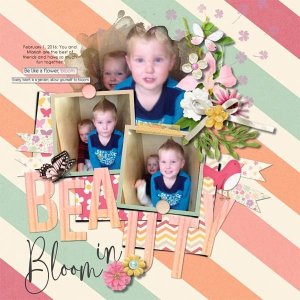 Beauty in Bloom