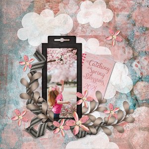 Catching Spring Blossoms