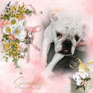 Peggy Simply Beautiful