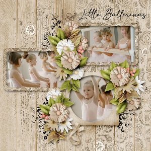 Designer Spotlight Fayette  June 2023