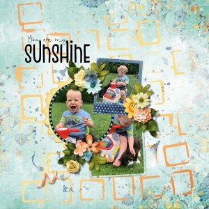 Sunshine